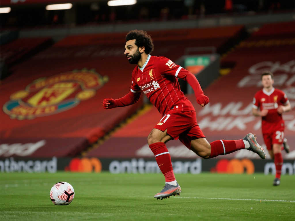 乐鱼体育官网-2