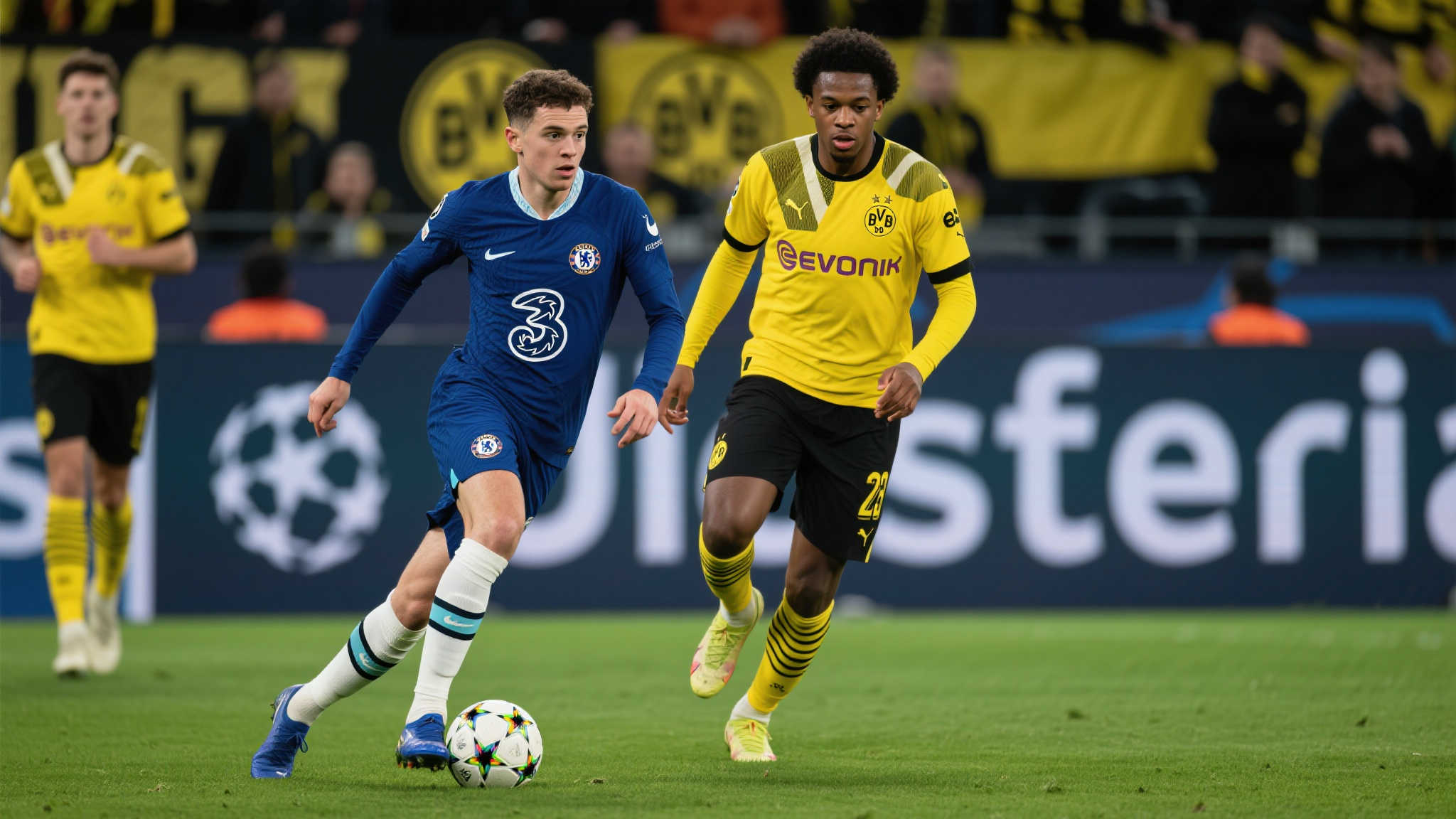 乐鱼体育官网-1